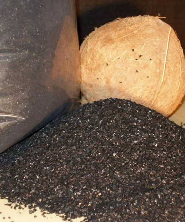 Coconut Shell Activated Carbon