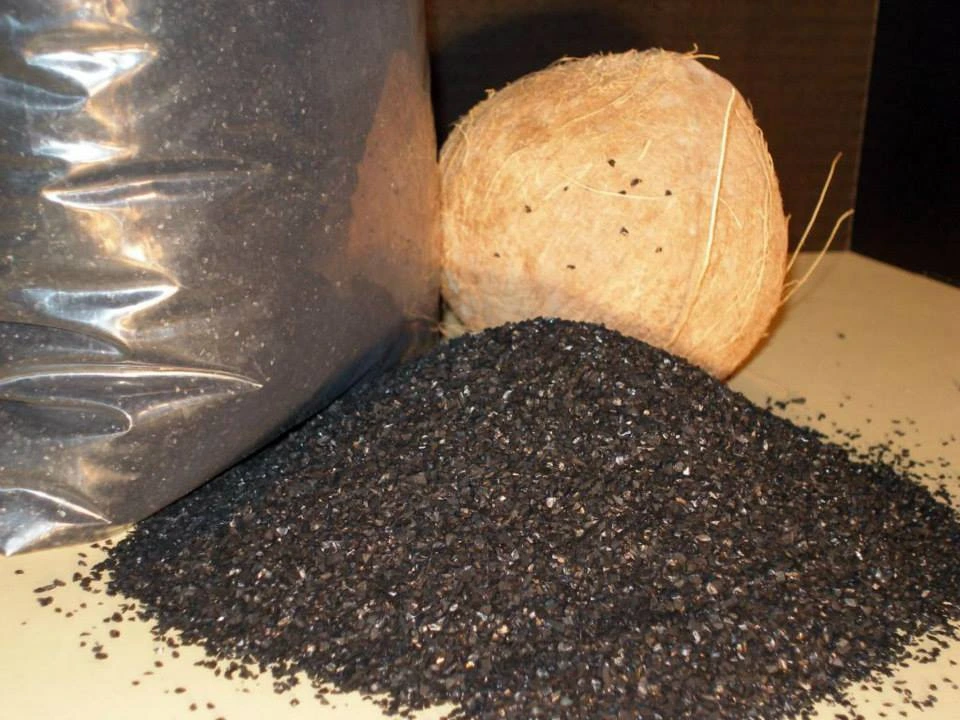 Coconut Shell Activated Carbon