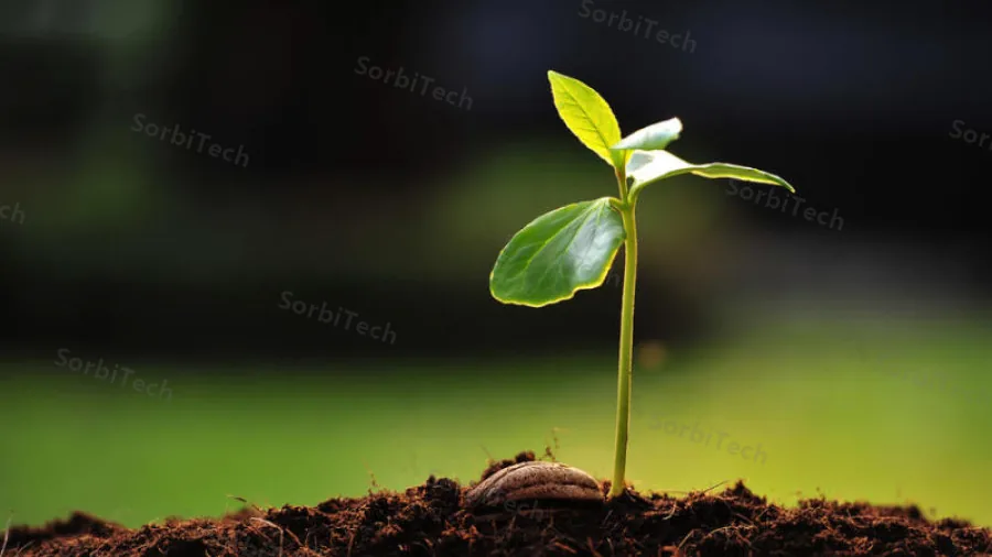 Fresh green seedling growing in dark soil, symbolising the clean boundary that activated carbon on the vent header of GCC wastewater plants and landfill sites keeps between the site and its neighbouring community